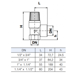 Apsauginis vožtuvas 3/4" 6bar (0217060N) 1